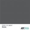 RC243  FS36081 Grey Acrylic Paint AK Interactive