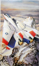 Grumman F-14 D Tomcat Fighter 1/72 Scale Plastic Model Kit Fujimi 35116