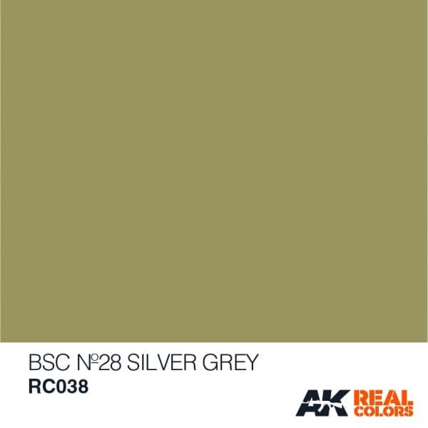 RC038 BSC 20 Silver Frey Acrylic Paint AK Interactive