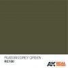 RC100 Russian Grey Green  Acrylic Paint AK Interactive