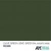 RC209 RAL6003 FS34095 Olive Green (USMC Green) Acrylic Paint AK Interactive