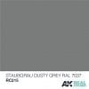 RC215 RAL7037 Staubgrau (Dusty Grey) Acrylic Paint AK Interactive