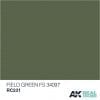 RC231 FS4097 Field Green Acrylic Paint AK Interactive