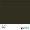 RC276 RLM72 Grun (Green) Acrylic Paint AK Interactive