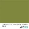 RC306  IJN M3 (M)  Mitsubidhi Interior Green Acrylic Paint AK Interactive