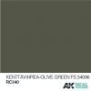 RC340 Kenttavyhrea (Olive Green) FS334096 Acrylic Paint AK Interactive